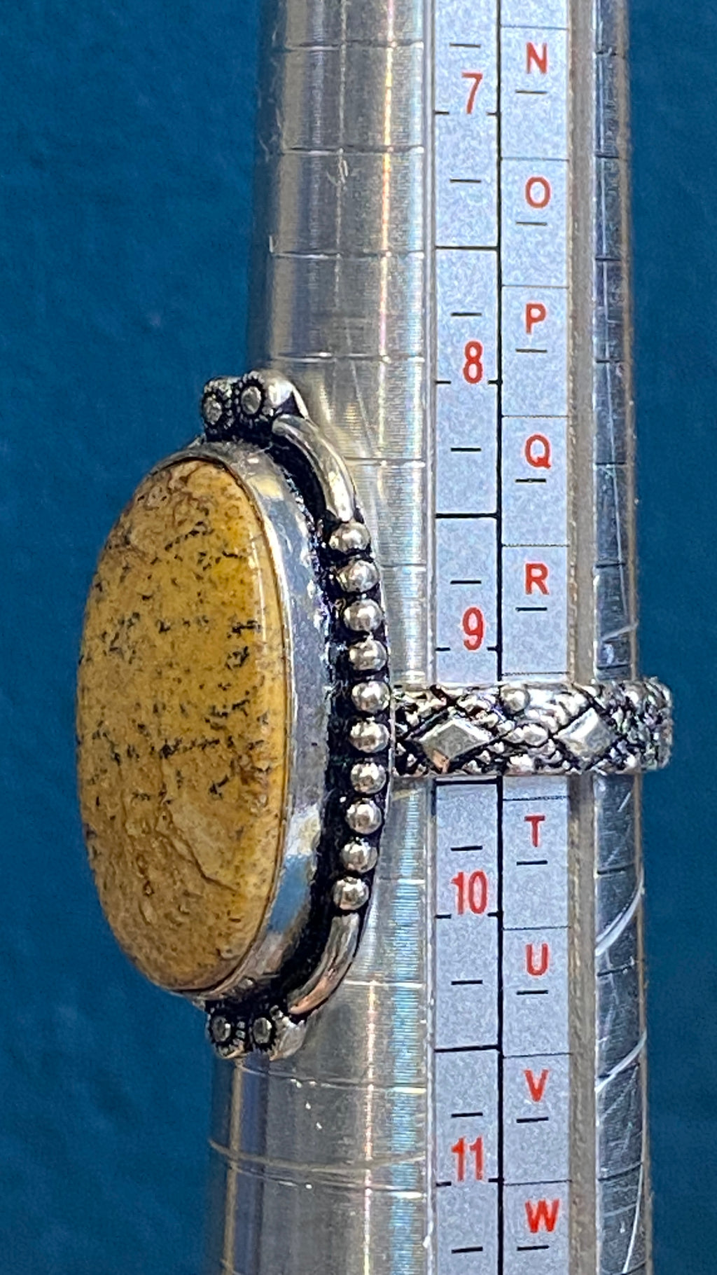 🌿 Picture Jasper Statement Ring – Size 9.5 🌿