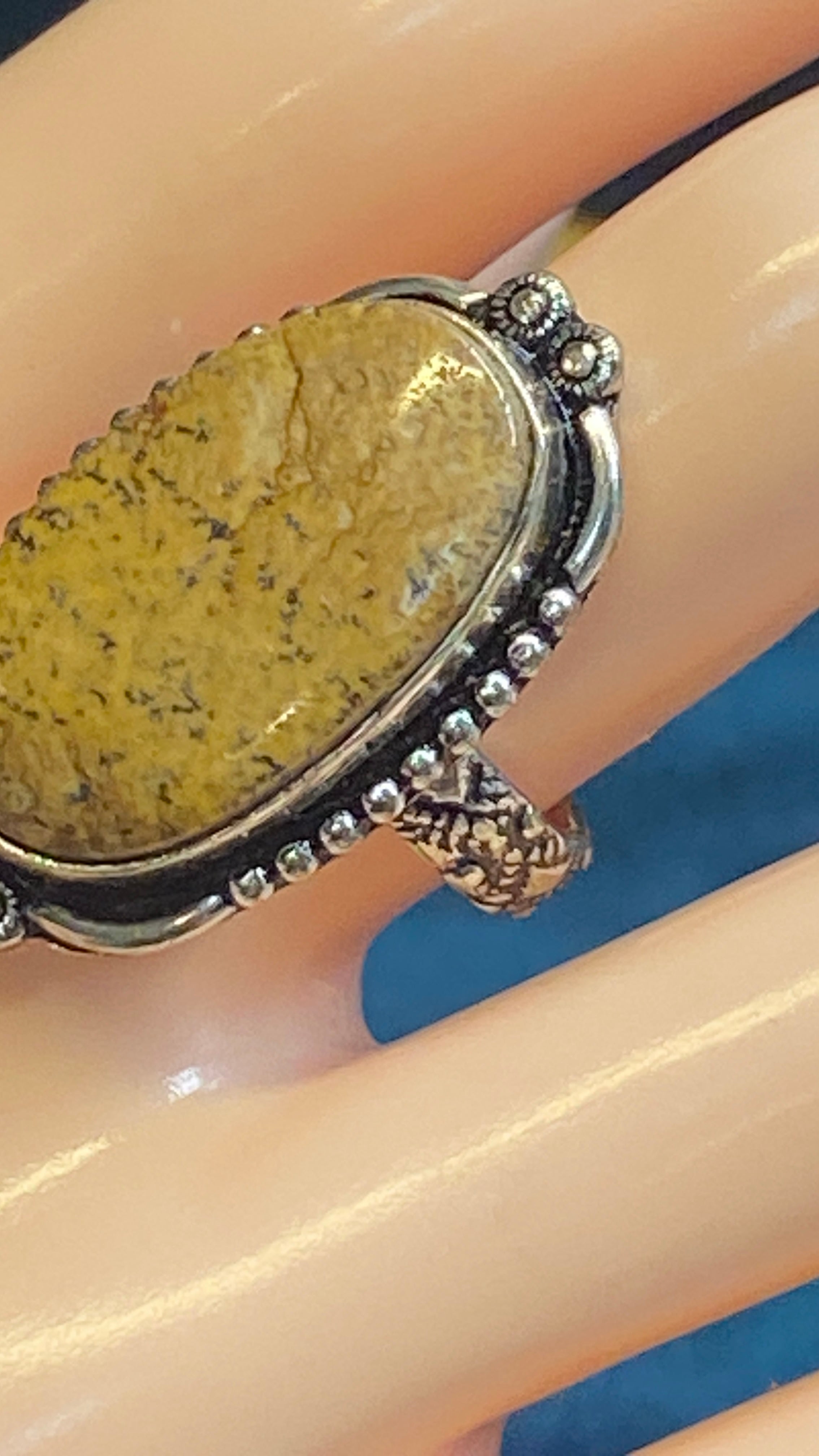 🌿 Picture Jasper Statement Ring – Size 9.5 🌿